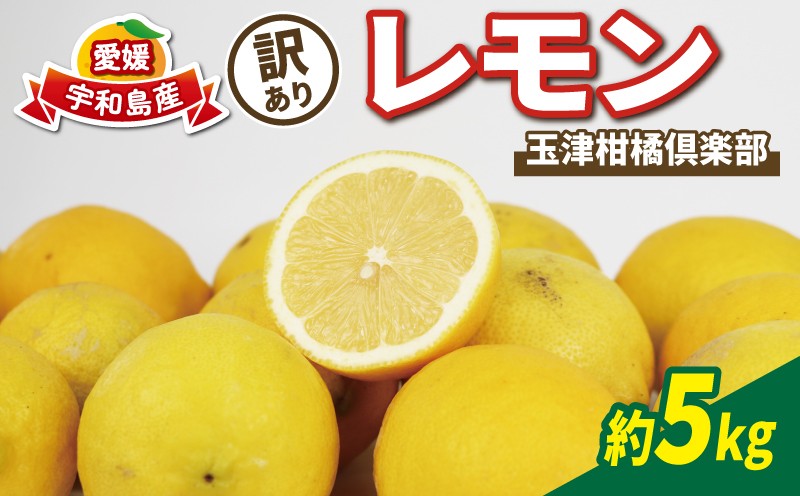 
                  【順次発送中】 訳あり レモン 約5kg 玉津柑橘倶楽部 れもん 檸檬 remon 酸味 爽やか 果実 レモンサワー ジュース チューハイ 果物 くだもの フルーツ 柑橘 愛媛みかん わけあり 訳あり品 産地直送 数量限定 国産 愛媛 宇和島 B010-072045
                