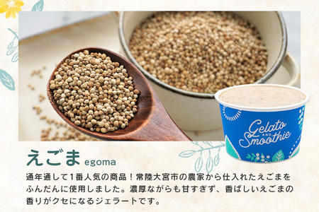 Gelato＆Smoothie えごまジェラート 12個 スイーツ アイス えごま 【ジェラート】【ho1382】