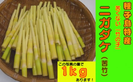 【 先行予約 】種子島 焼酎 しま茜 900ml と ニガダケ 1kg セット　NFN028【325pt】 