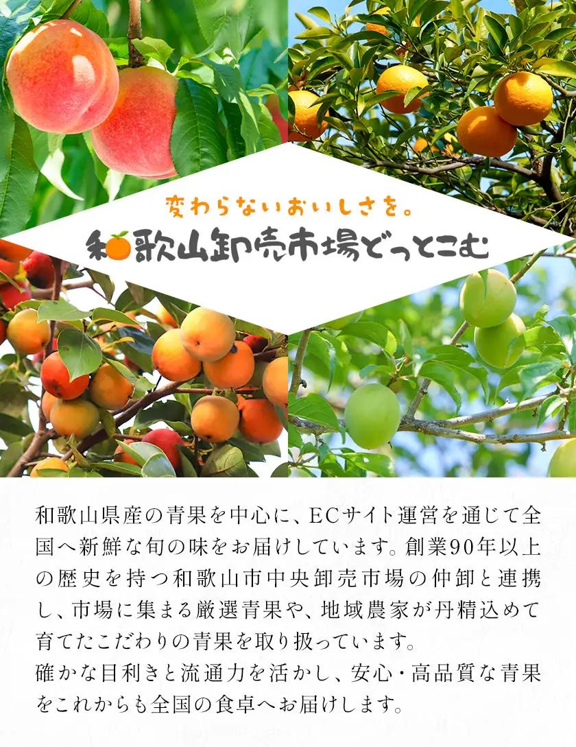たねなし柿 訳あり 1kg 農業福祉研究機構