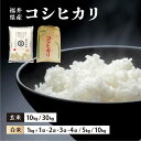 【ふるさと納税】福井県産 コシヒカリ 【選べる 精米 または 玄米 】 1〜4kg / 5kg / 10kg / 30kg 【米 コメ お米 精米 白米 玄米 ご飯 飯 こしひかり ブランド米 国産 お中元 お歳暮 ギフト 贈り物 贈答 NEW 新規】