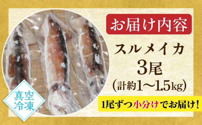 【冷凍】 スルメイカ 3尾（350～500g/尾）《壱岐市》【馬渡水産】 イカ いか 烏賊 スルメイカ するめ 刺身 刺し身 お刺身 海鮮 魚貝 冷凍配送 産地直送 [JAQ004]
