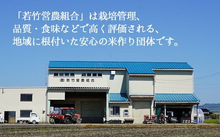 【射水市】【射水の美味しいお米】若竹のお米 R7年度産 てんたかく10kg（5kg×2）【精米】 ※離島への配送不可 ※2025年9月上旬～9月下旬頃に順次発送予定