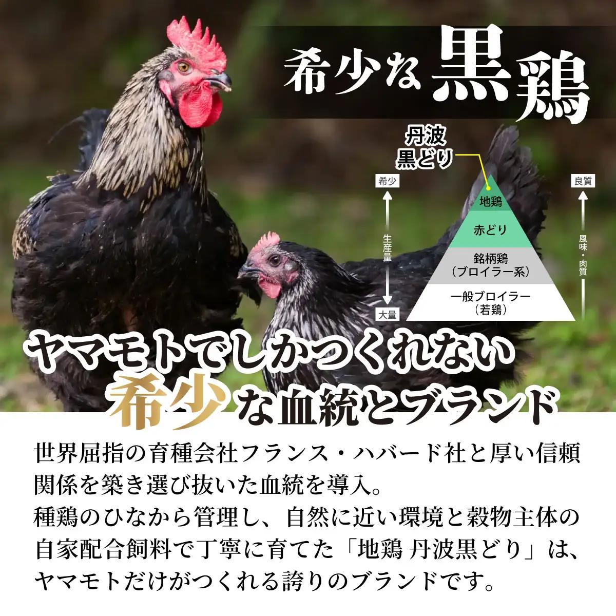鶏肉 地鶏丹波黒どり 手羽元 4kg（500g×8）訳あり鶏肉