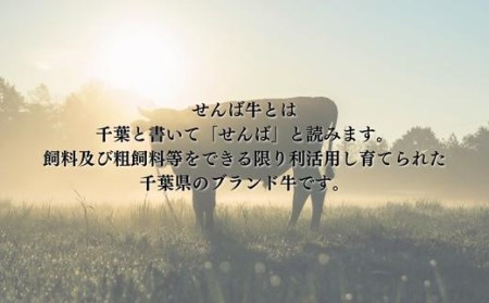 せんば牛カレーセット　200g×5袋