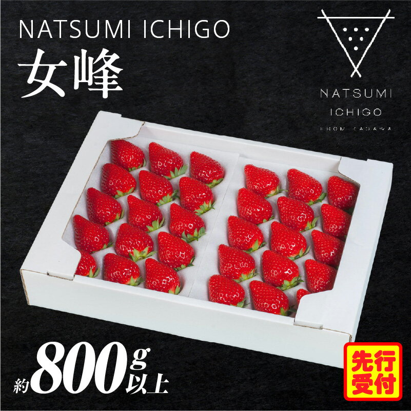 【ふるさと納税】NATSUMI　ICHIGO 女峰約800g以上　プレミアムBOX【2026年1～6月配送】スイーツ いちご ストロベリー 女峰 苺 冷蔵 フルーツ 旬 果物 香川県 デザート 青果物 贈答 プレゼント 贈り物 先行受付 先行予約 季節限定 旬 おすすめ 三木町 送料無料
