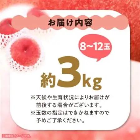 【2027年(来年)発送】 桃 約3kg (8玉～12玉) 厳選 ! 池田青果の もも【配送不可地域：離島・沖縄県】【1280521】