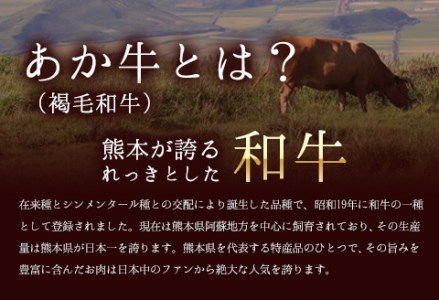 牛肉 あか牛 サーロイン ステーキ 500g ( 250g × 2枚 ) 牛肉 冷凍 《30日以内に出荷予定(土日祝除く)》 訳あり 定期便 でない 冷凍庫 個別 取分け 小分け 個包装 ステーキ肉 