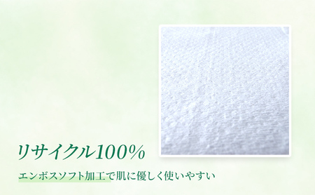 トイレットペーパー ハイネシングル55m 12ロールパック