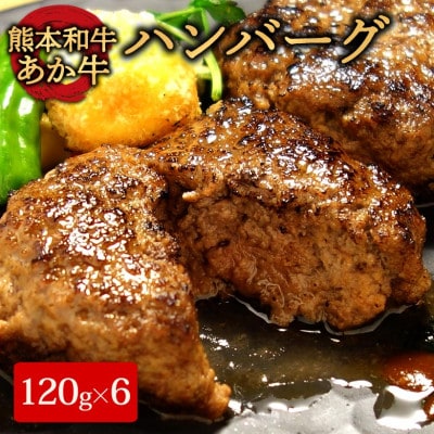 あか牛100%ハンバーグセット (あか牛ハンバーグ120g×6個)(阿蘇市)【配送不可地域：離島】【1556821】
