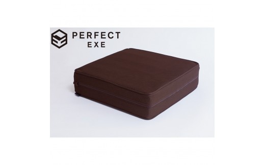 パーフェクトエクサ（R）【レッド】_1329400007_00