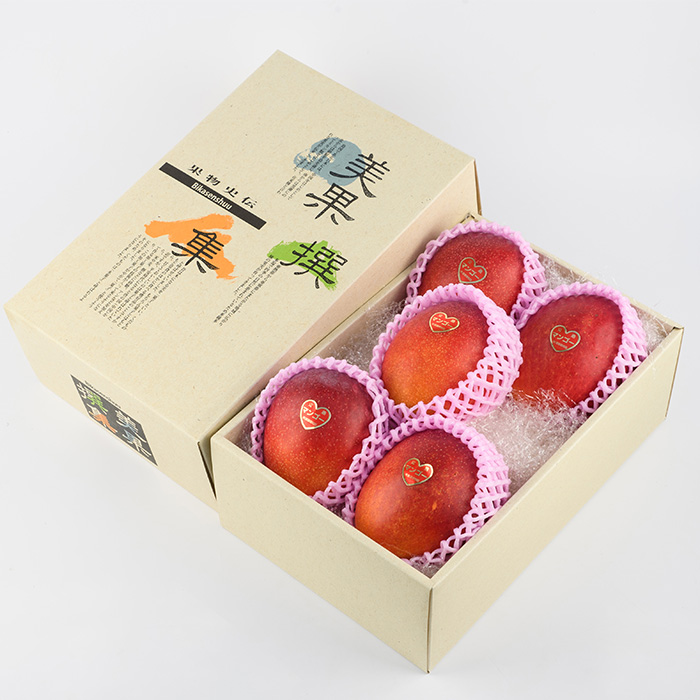 【2026年 発送】室屋さんの完熟マンゴー(訳あり品)約1.6kg 3～6玉(中園久太郎商店/017-1760) マンゴー フルーツ 果物 旬 夏 指宿 いぶすき 鹿児島  完熟  お供え 御供 ギフ