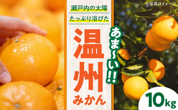 【先行予約】【11月下旬から順次発送】おひさまの光をいっぱい浴びて育ちました！新鮮！温州みかん 10kg　愛媛県大洲市/永沼農園 [AGAW002]みかん オレンジ フルーツ ミカン 果物 愛媛みかん みきゃん スムージー デザート おやつ ヨーグルト 調味料 ドレッシング 隠し味 料理