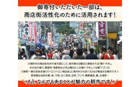 【3ヶ月定期便】宮崎県産若鶏　日南どり　もも肉＆手羽元　計4kg（各2㎏×1） 【 ふるさと納税 鶏肉 鶏 若鶏 もも 手羽元 セット 宮崎県産 川南町 おうち時間 おうちごはん 定期便 送料無料 】