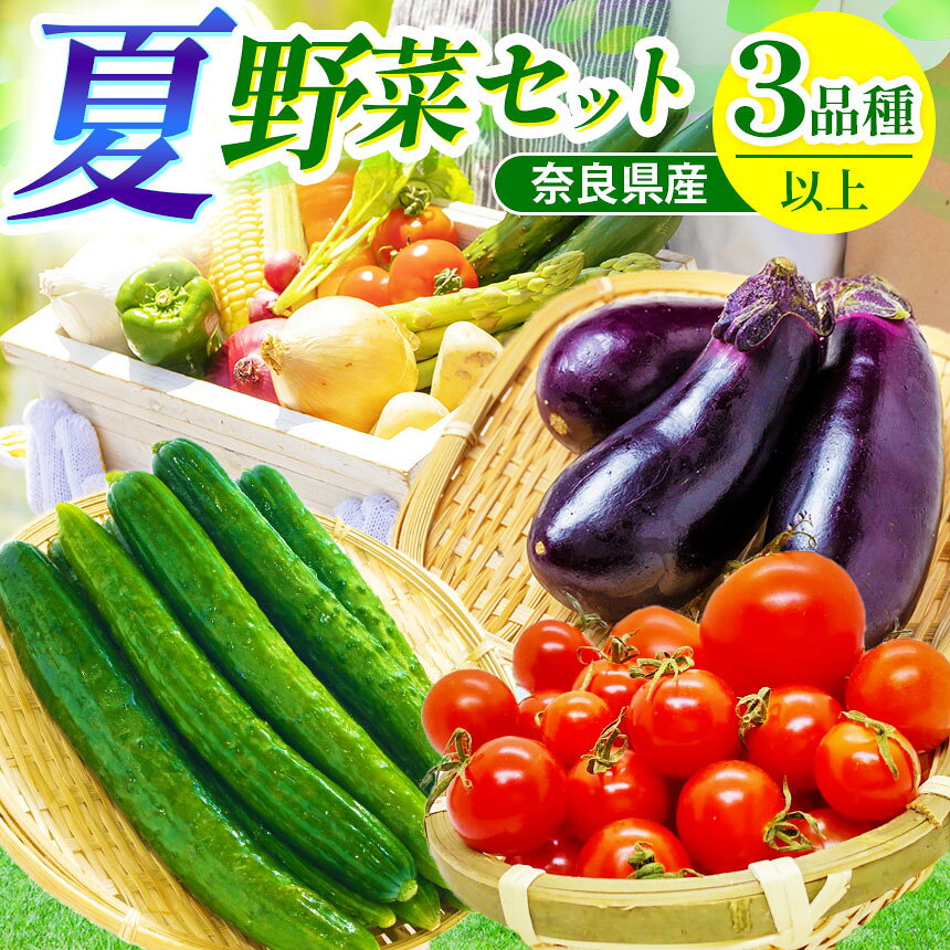 【ふるさと納税】【先行予約】御杖村産 夏野菜セット3種類以上 | ミニトマト 長ナス きゅうり 夏野菜セット 旬 先行予約 奈良県 御杖村 みつえむら