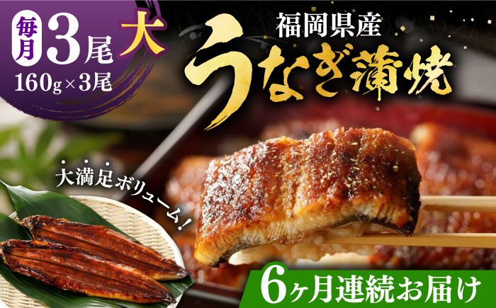 
            【全6回定期便】福岡県産 うなぎ 蒲焼 大3尾 合計 480 g（1尾あたり 160g以上）《豊前市》【福岡養鰻】 国産 うなぎ 大 [VAD015]
          
