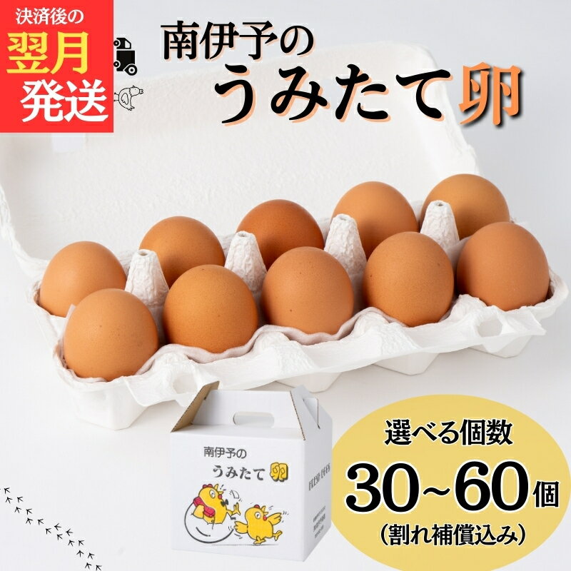 【ふるさと納税】卵 たまご【選べる内容量】30～60個 サイズミックス 南伊予のうみたて卵 産地直送 すき焼き 目玉焼き 玉子 タマゴ 卵焼き 玉子焼き たまご焼き 南伊予養鶏 愛媛 伊予市