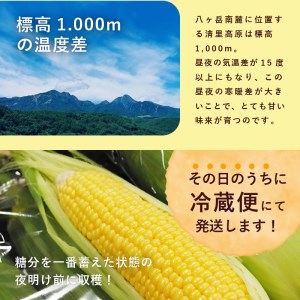 【2025年先行予約】北杜市産とうもろこし『味来』(みらい) 朝採り直送約5㎏セット(約14本） 【期間限定】 とうもろこし コーン 朝採り ミラクルスイートコーン 北杜市産 味来 14本 約5kg 