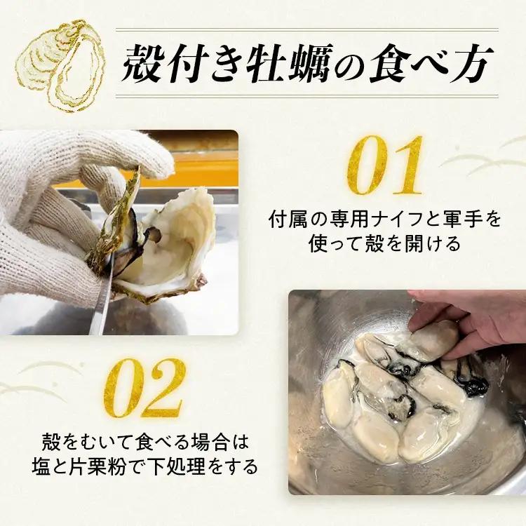 【能登半島地震復興支援】【発送時期が選べる】魚介類 牡蠣　/ 能登かき　殻付牡蠣 半缶/約5kg（約40～50個） 専用ナイフ 片手用軍手付 | 世界農業遺産「能登の里山里海」魚介類 牡蠣 訳あり 生