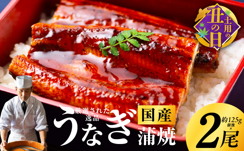 【土用の丑の日までにお届け】国産うなぎ 約125g×2尾 秘伝のたれ 蒲焼 鰻 ウナギ 有頭 炭火焼き 備長炭 手焼き 先行予約