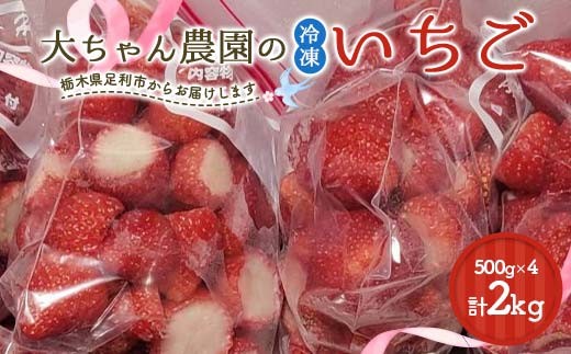 栃木のブランドとちあいか 大ちゃん農園の冷凍いちご2kg(500g×4袋) いちご イチゴ 苺 デザート フルーツ 果物 くだもの 果実 食品 F7Z-1717