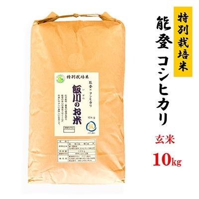 ふるさと納税 七尾市 【令和7年産】能登のコシヒカリ　飯川のお米　10kg(玄米10kg×1袋)