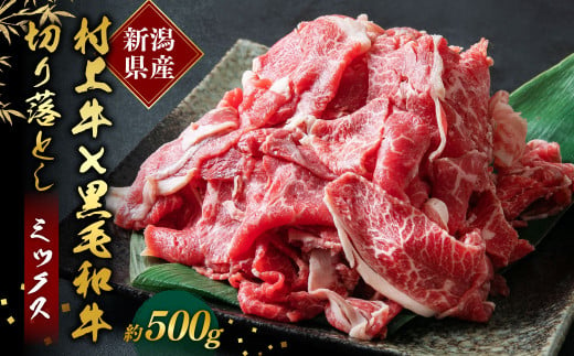 【赤身と程よい脂身のバランス】村上牛×黒毛和牛の切り落とし肉 500g×1パック 約2～3人前 生産者直送 にいがた和牛 santaふぁーむ [1031002]