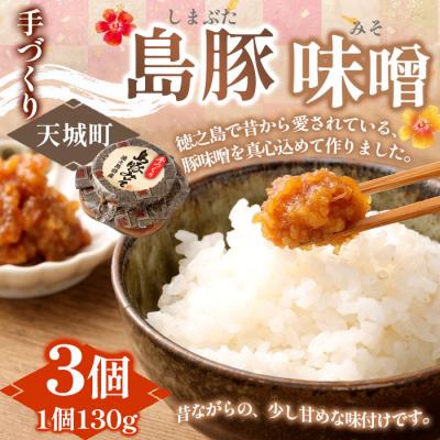 ふるさと納税 天城町 徳之島 天城町 宝果樹園 豚味噌 3個 (130g×3) 合計390g ご飯のお供 瓶詰め 手づくり