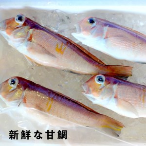 若狭湾 の 甘鯛 開き干し 3尾