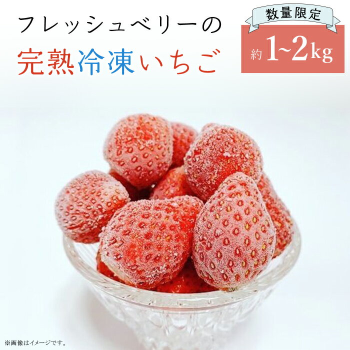 【ふるさと納税】完熟冷凍いちご 約1～2kg ＜数量限定！！＞ フレッシュベリーの完熟冷凍いちご！大中小サイズ混合約2kg（1kg×2袋）やよいひめ・かおり野・紅ほっぺ・もういっこ ≪イチゴ 苺 ジャム ヨーグルト おやつ≫