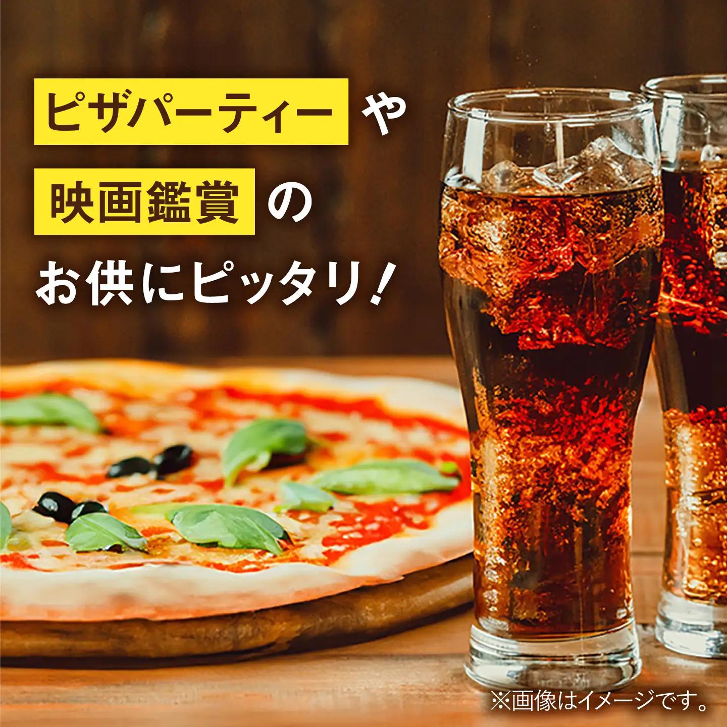 【全3回定期便】コカ・コーラ 缶 計72本（500ml×24本×3回） / 炭酸飲料 ドリンク ジュース / コカ・コーラ [41AFAO026]
