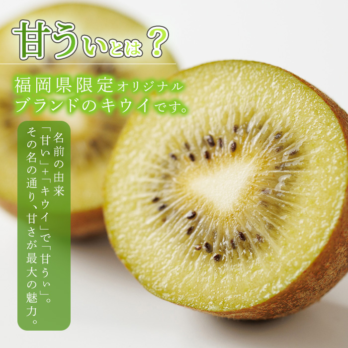 ＜先行予約受付中！2026年11月上旬～11月下旬に順次発送予定＞福岡県ブランド キウイフルーツ 博多 甘うぃ (約計3.6kg：20～27玉) キゥイ キューイ キュウイ あまうぃ フルーツ 果物 