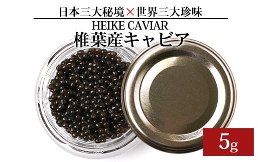 
【訳あり】HEIKE CAVIAR 5ｇ 【宮崎県 椎葉村】【世界三大珍味×日本三大秘境】［宮崎 椎葉 国産 ちょうざめ チョウザメ きゃびあ キャビア 5g 魚卵 卵 世界三大珍味 高級 高級食材 クリーミー 贈物 ギフト 記念日 誕生日 プレゼント］【SZ-115】
