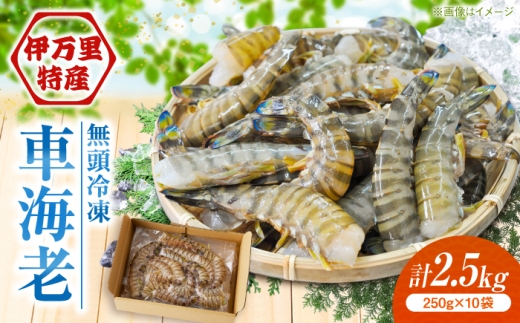 【加熱用】伊万里特産 無頭冷凍車海老 計2.5kg（250g×10袋）/ 海鮮 車エビ 海老 エビ えび 小分け エビフライ shrimp / 佐賀県 / 株式会社拓水 伊万里クルマエビセンター [41AEAJ010]