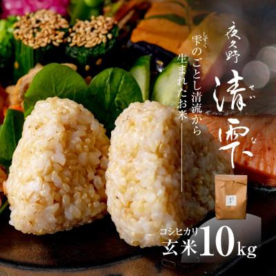 ふるさと納税 福知山市 京都夜久野産　清雫(せいな)コシヒカリ 玄米10kg(5kg×2袋)