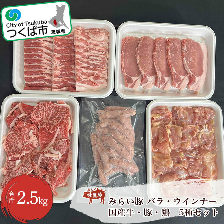 【ふるさと納税】村下商事シリーズ バラエティパック (牛・豚・鶏・ウインナー) 2.5kg | 茨城県 つくば市 BBQ 肉 焼肉 国産牛 牛肉 豚肉 鶏肉 お寄せ 国産 人気商品 ギフト お得 家庭用 グルメ ロース バラ 切り落とし 1317578