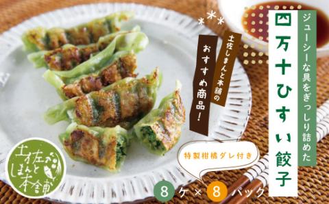 家(うち)に来る“高知” ジューシーな具をぎっしり詰めた手づくり!!　四万十ひすい餃子（8ケ入×8パック）・たれ付き　にんにく不使用！R5-1025