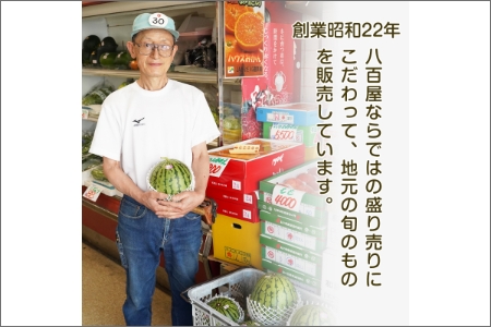 【0140-3】和歌山産小玉すいか ひとりじめ7(2～3玉)