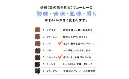 スペシャルティコーヒー　焙煎度合の違いを体感。飲み比べセット　100g×2袋 飲み比べセット100g×2袋（粉）