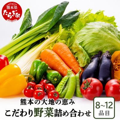 ふるさと納税 多良木町 熊本の大地の恵み 旬のこだわり野菜詰め合わせセット 8〜12品(3〜4名様向け)
