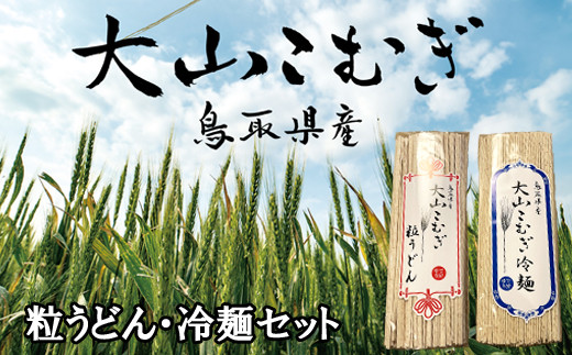 
                  IW02：鳥取県産大山こむぎ麺セット（粒うどん・冷麺）10袋
                