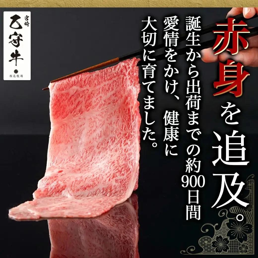 数量限定！【宮崎牛A5】肩ロースすきしゃぶ500g(乙守牛)〔24-6503〕_(都城市) 都城産宮崎牛 乙守牛 A5 肩ロースすきしゃぶ 500g×1パック 牛肉 
