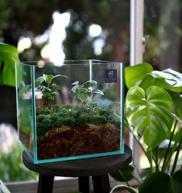 D011 モダンインテリアやギフトに「花うるるのテラリウムMサイズ」（ジオラマ人形おまけ付）