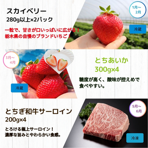 【定期便6回】真岡の魅力 満載 定期便6回 | いちご とちあいか スカイベリー 餃子 とちぎ和牛 こしひかり とちぎの星 お米 白米 米 苺 イチゴ ストロベリー たじまや サーロイン グルメ セッ
