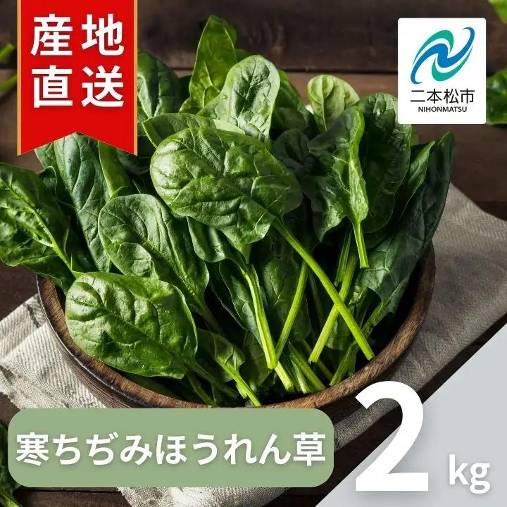 ほうれん草 2kg 10袋 ほうれん草 ほうれんそう