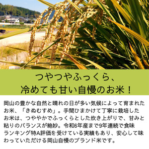【令和7年産】無洗米 きぬむすめ 4kg 2kg×2袋 岡山県産 【先行予約 2025年11月上旬から順次発送】
