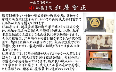 68-16カステラ銘菓詰合