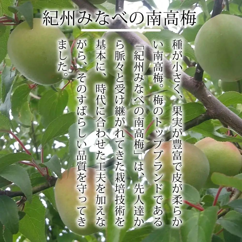 わけあり紀州南高梅 はちみつ梅 （塩分約8%）2kg yplu023【yplu023】