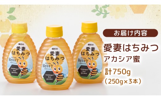 嬬恋村 愛妻はちみつ ( アカシア ) 250g × 3個セット はちみつ 国産 ハチミツ 蜂蜜 群馬 アカシア [AC010tu]