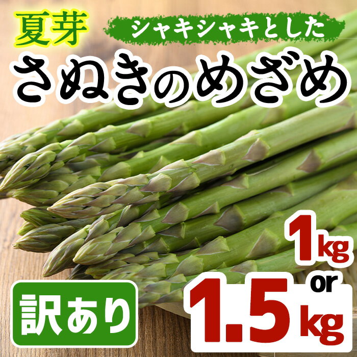 【ふるさと納税】＜期間限定！2025年6月上旬以降順次発送＞＜選べる容量＞夏芽！訳ありさぬきのめざめ (約1kg・約1.5kg)　満足　アスパラガス　家庭用 国産 香川県 冷蔵 グリーン 旬 訳アリ【man082・man083】【Aglio nero】